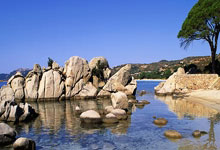 英冠南安普敦vs普雷斯顿最新情况如何?